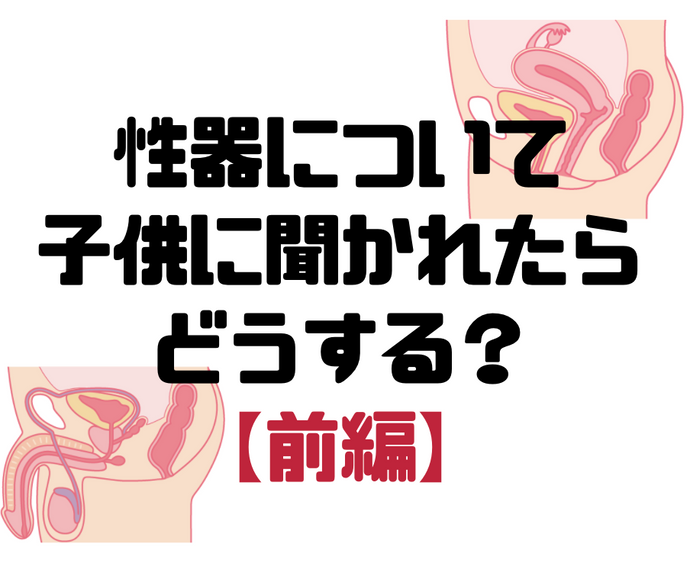 性器について子供に聞かれたらどうする？【前編】